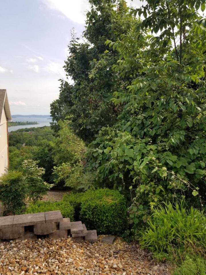 Tbd Sunset Cove Estates Lot 1204 - Photo 1