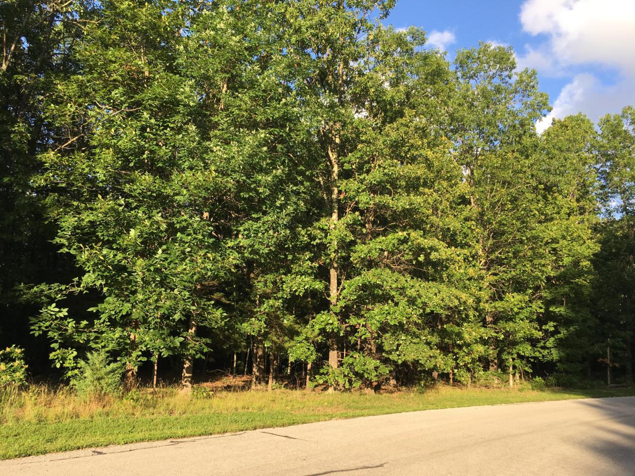 Tbd Wood Road - Photo 1