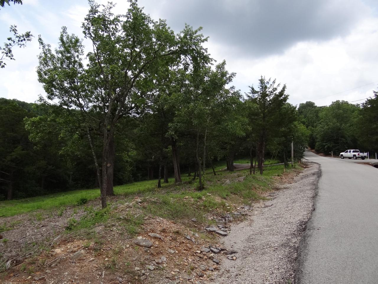 Lot 137 A --- T B D Dogwood Village Lane - Photo 1