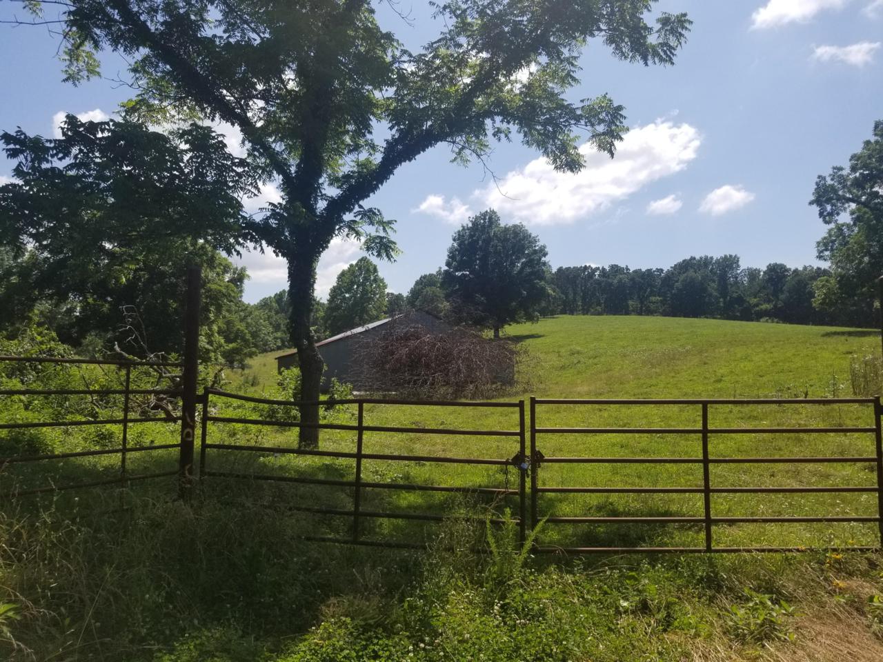 3922 Elkhorn Road - Photo 1