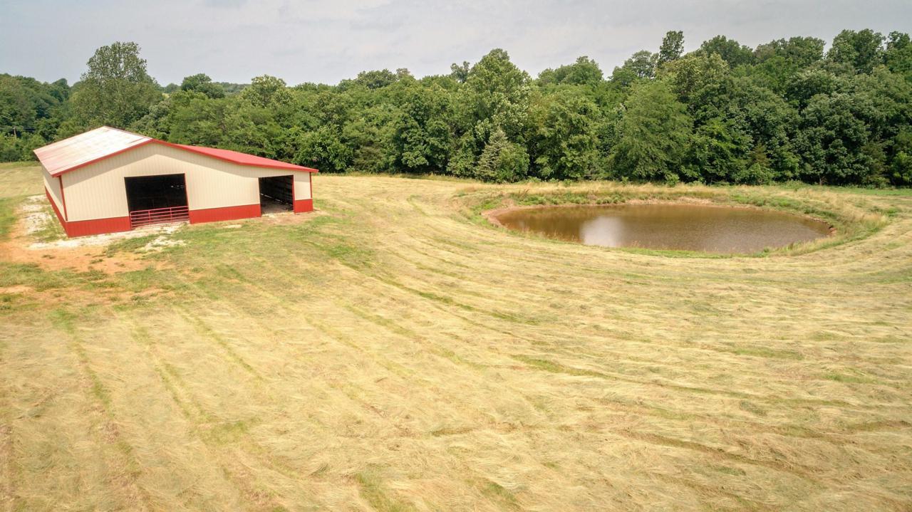 7875 Farm Road 94 - Photo 1