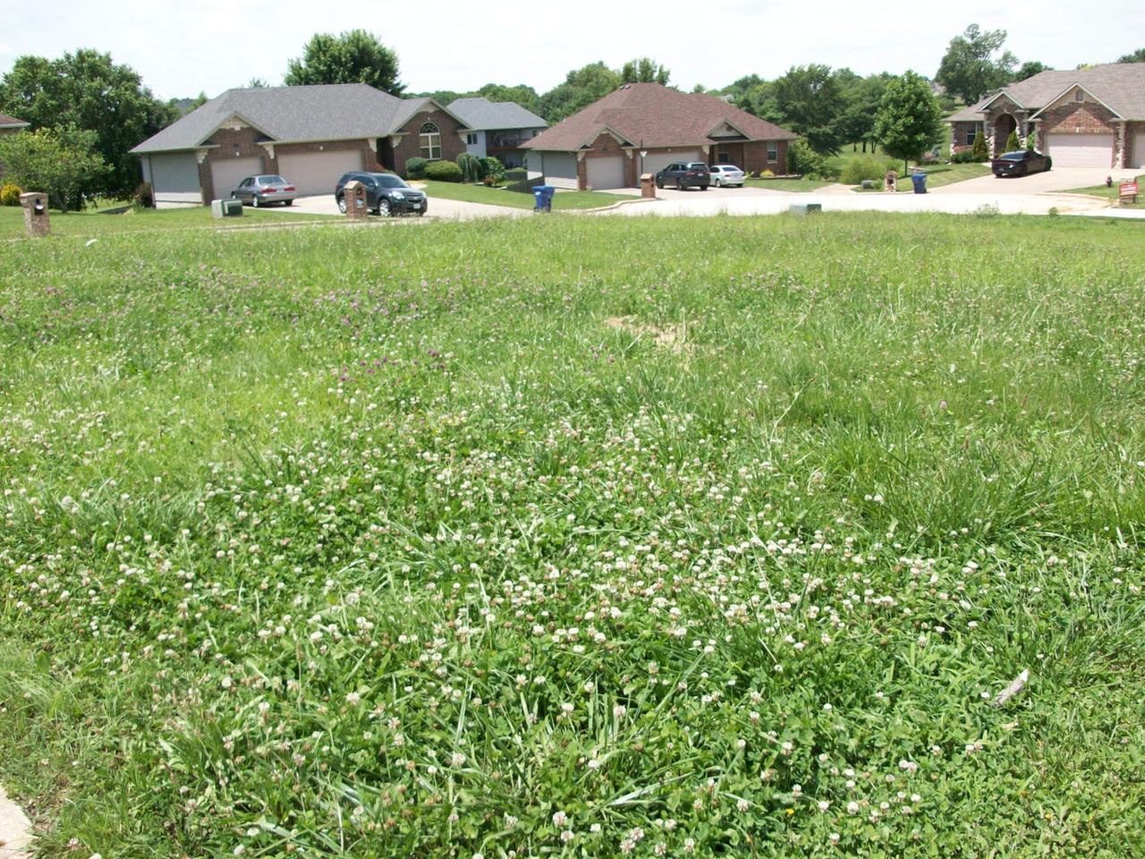 Lot 83 Nightingale - Photo 1