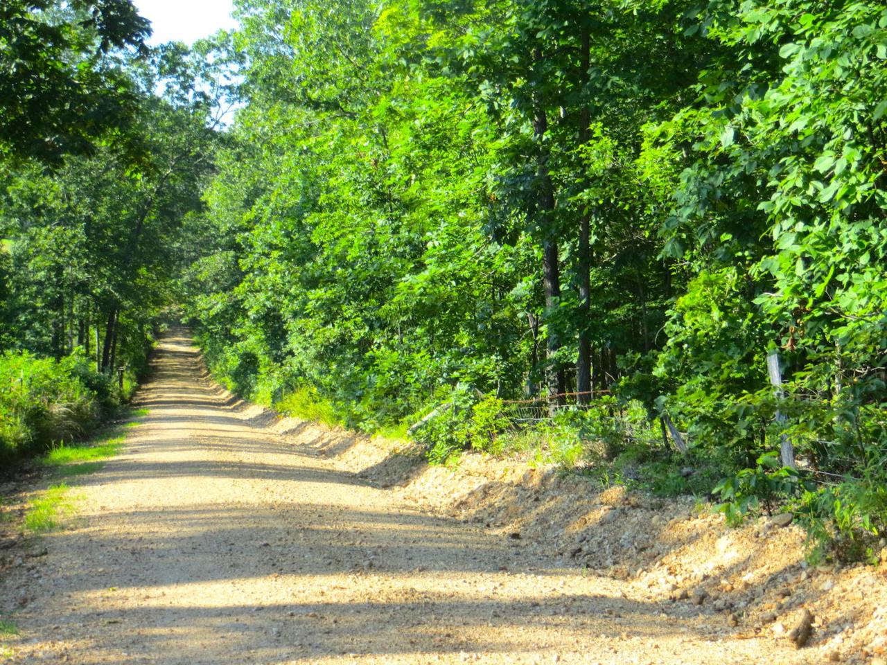 Tbd County Road 320 - Photo 1