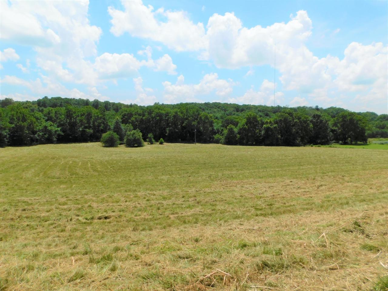 568 Normandy Road - Photo 1