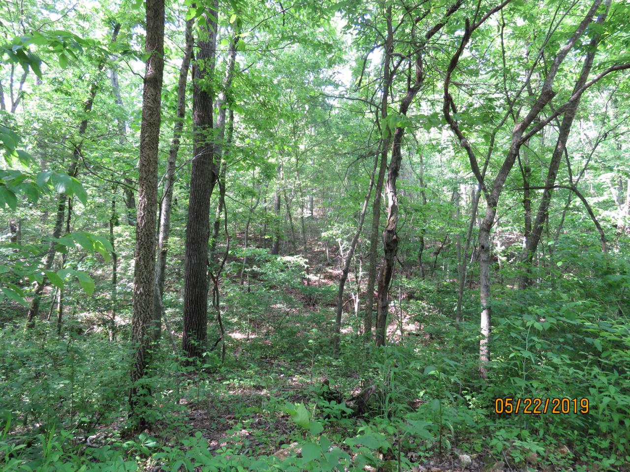 Rural Route 5 Box 1073 - Photo 1