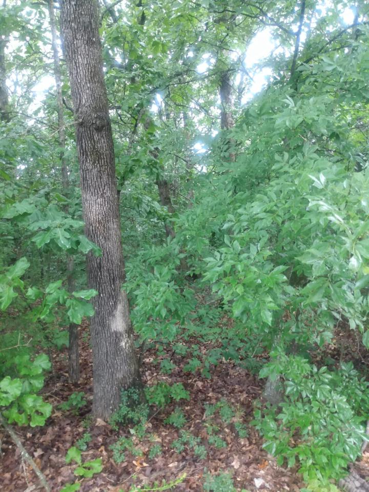 3003 Jennifer Drive - Photo 1