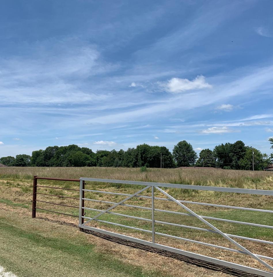 Tbd Riley Rd - Photo 1