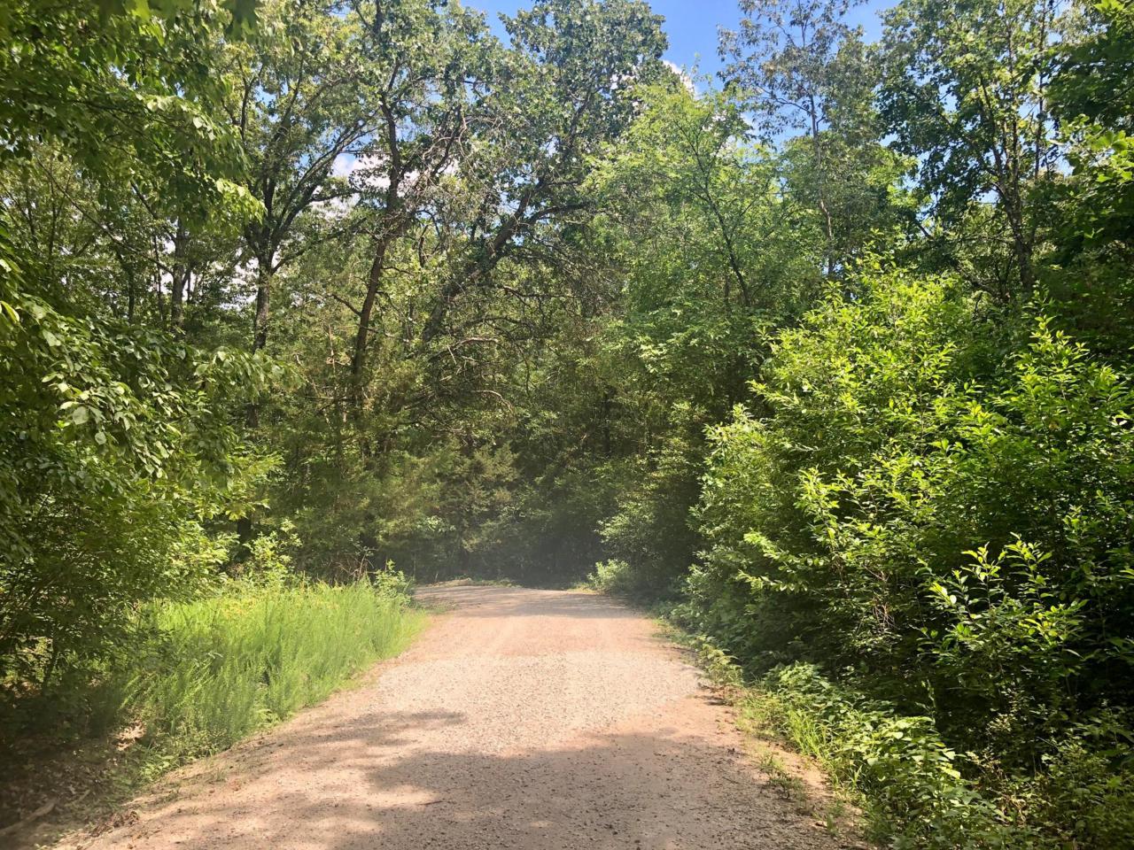 Lot 239.01 Hummingbird Lane - Photo 1