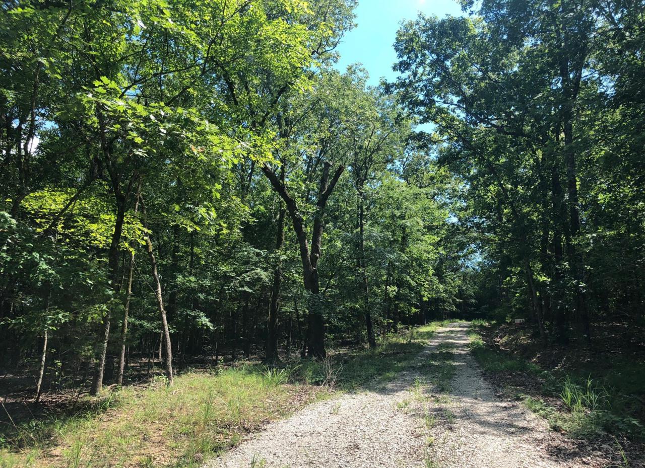 Lot 75.05 Meadowlark Lane - Photo 1