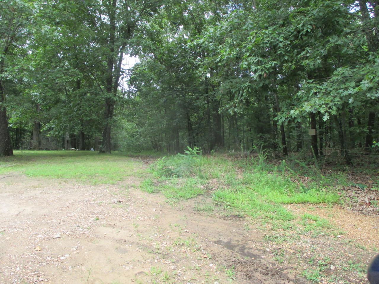 000 County Road 8320 - Photo 1