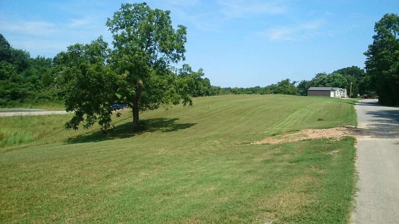 Tbd Pleasant Ridge Road - Photo 1