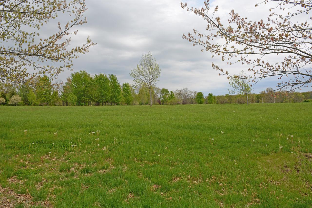 Lot 4 Crown Park Lane - Photo 1