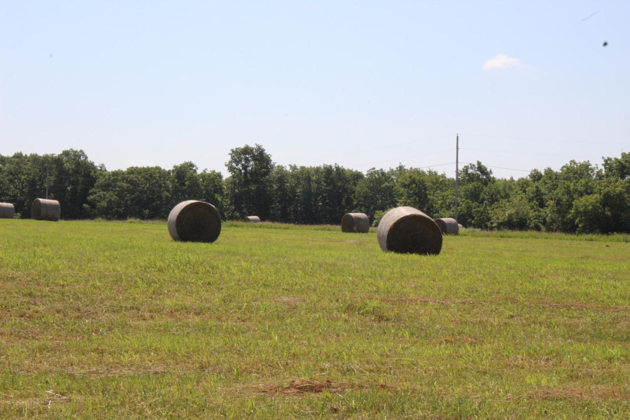 00000 County Road124l - Photo 1