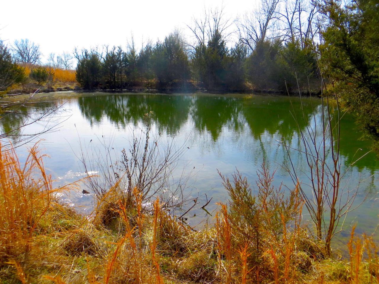 Tbd Camp Creek Road - Photo 1