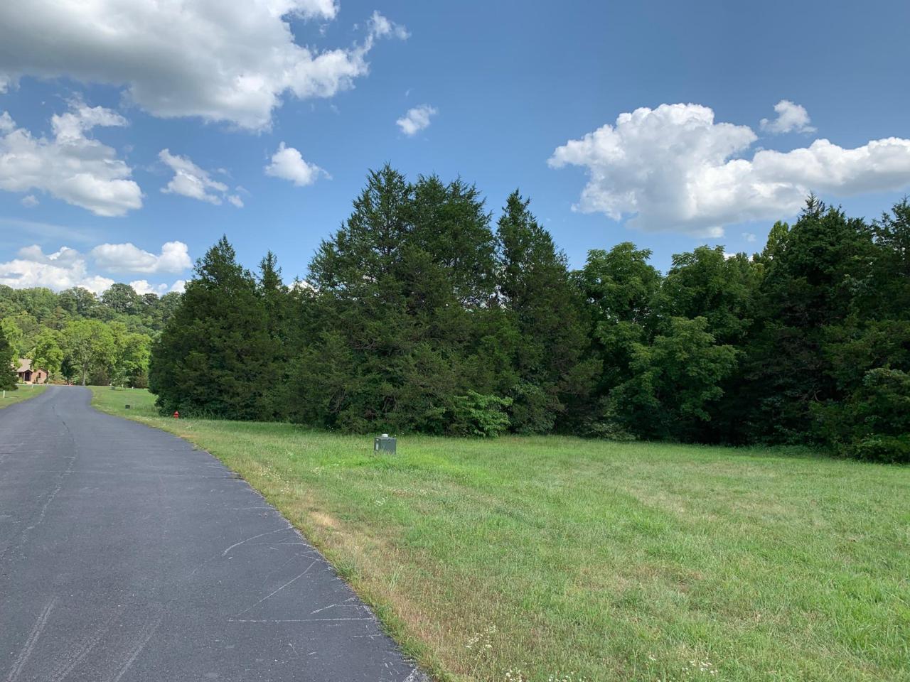 118 & 119-Lots Seven Pines Drive - Photo 1 118 & 119-Lots Seven Pines Drive - Photo 1