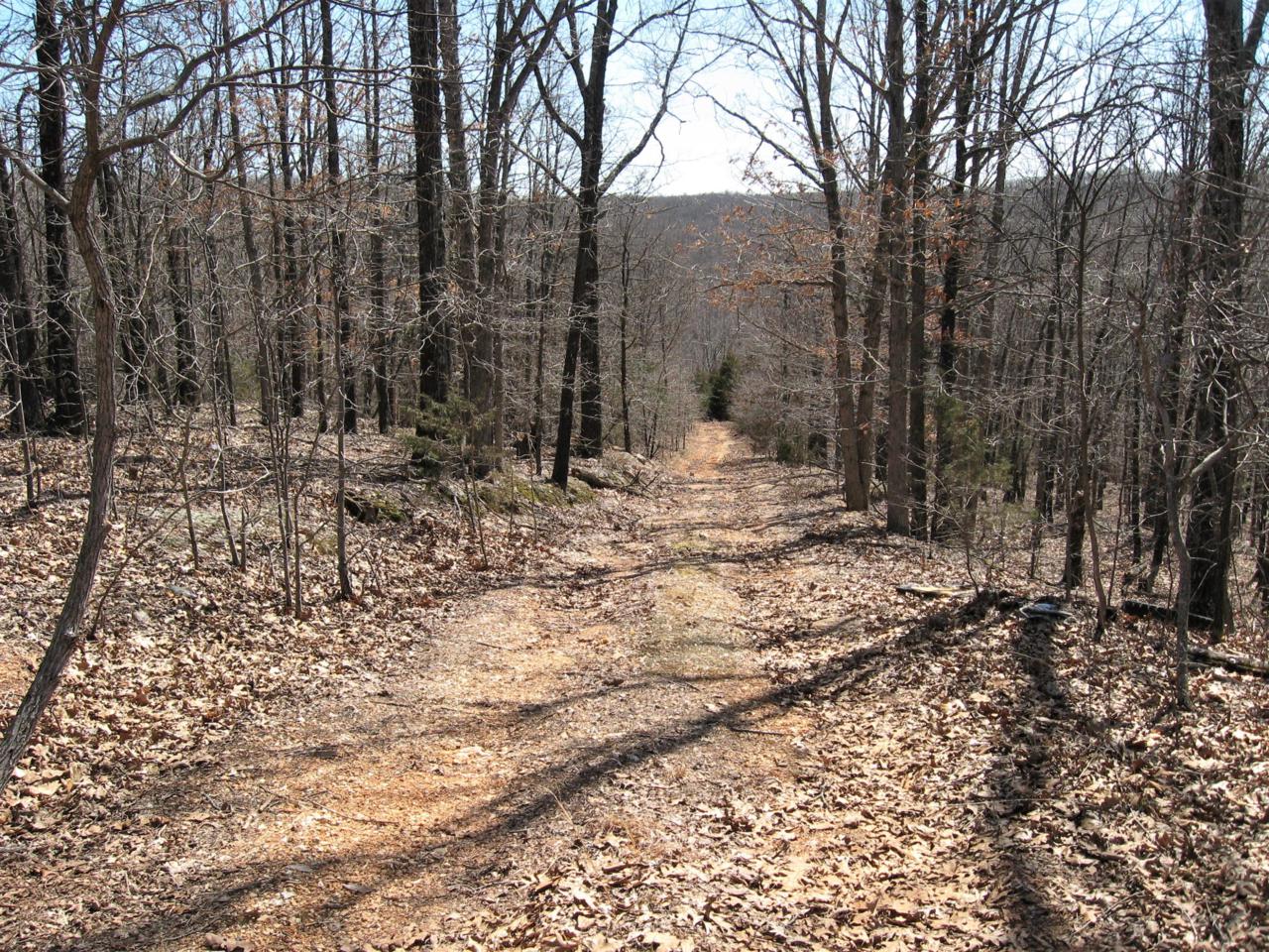 17650 Superior Road - Photo 1