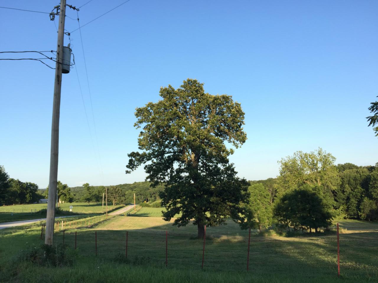 364 State Road Bb - Photo 1