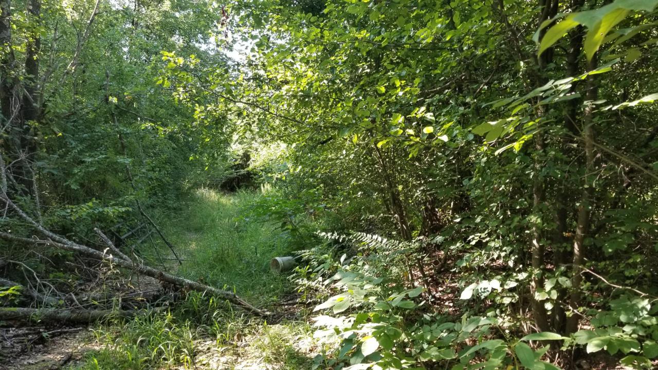 1554 County Road 6680 - Photo 1