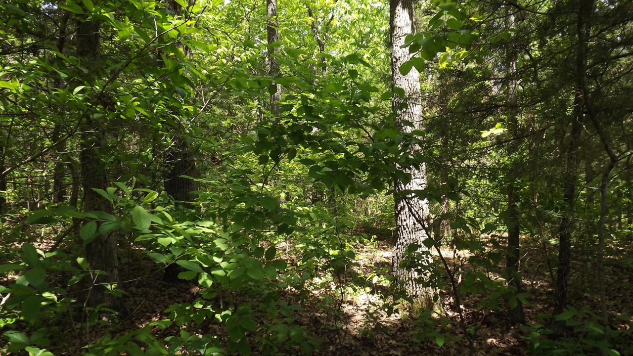 47-48 Lt Arrowhead Circle - Photo 1 47-48 Lt Arrowhead Circle - Photo 1