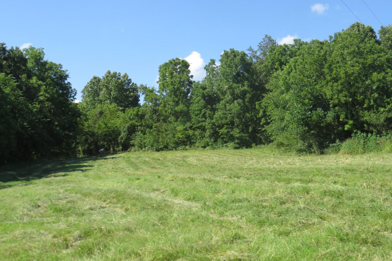 1942 Beamon Hollow Road - Photo 1