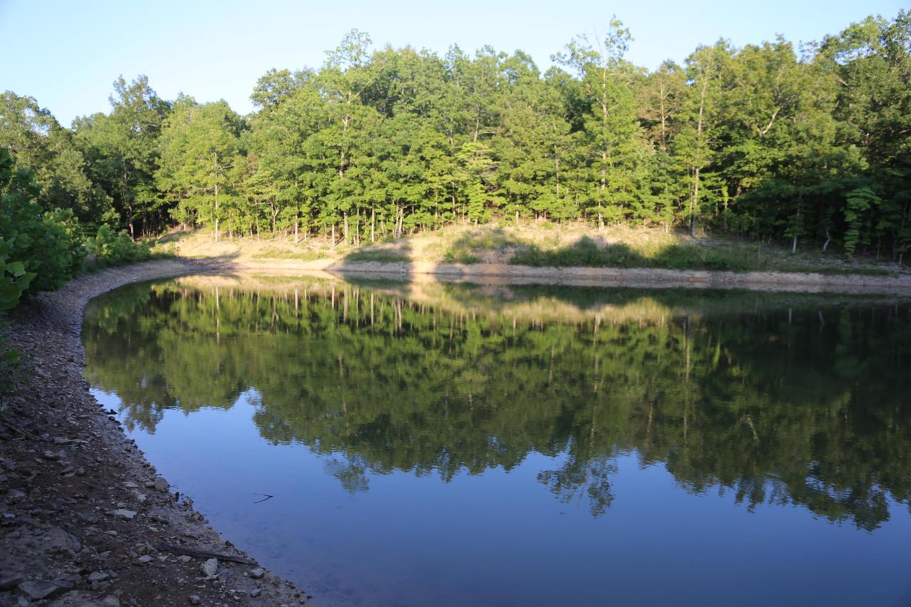 Tbd Freedom Road - Photo 1