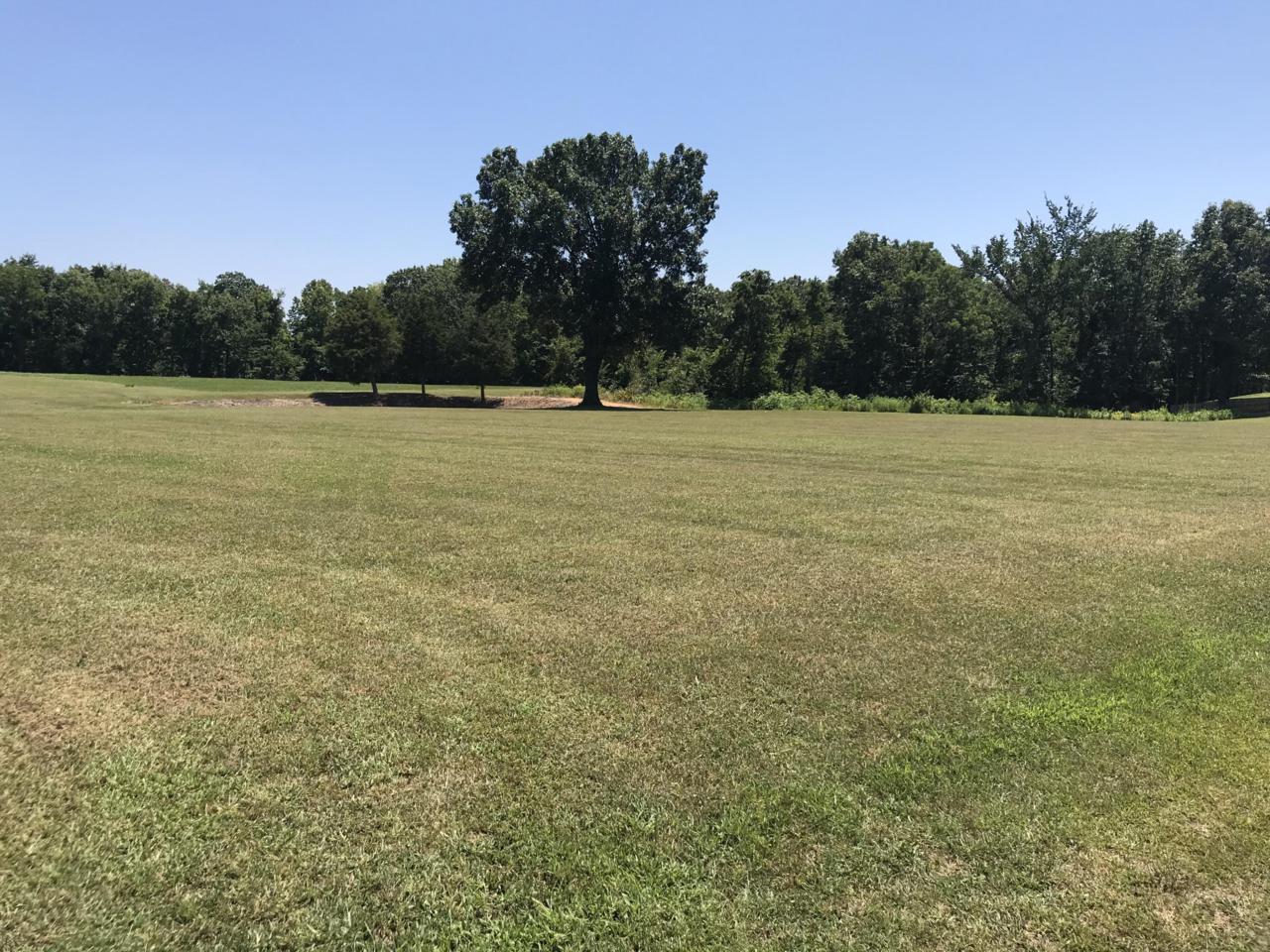 Tbd Farm Road 2275, Private Rose Road - Photo 1