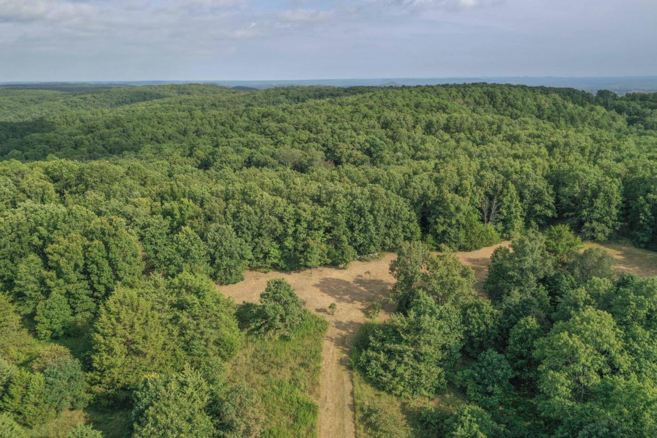 Tbd Farm Road 2185 (Cabin & 75 Ac - Photo 1 Tbd Farm Road 2185 (Cabin & 75 Ac - Photo 1