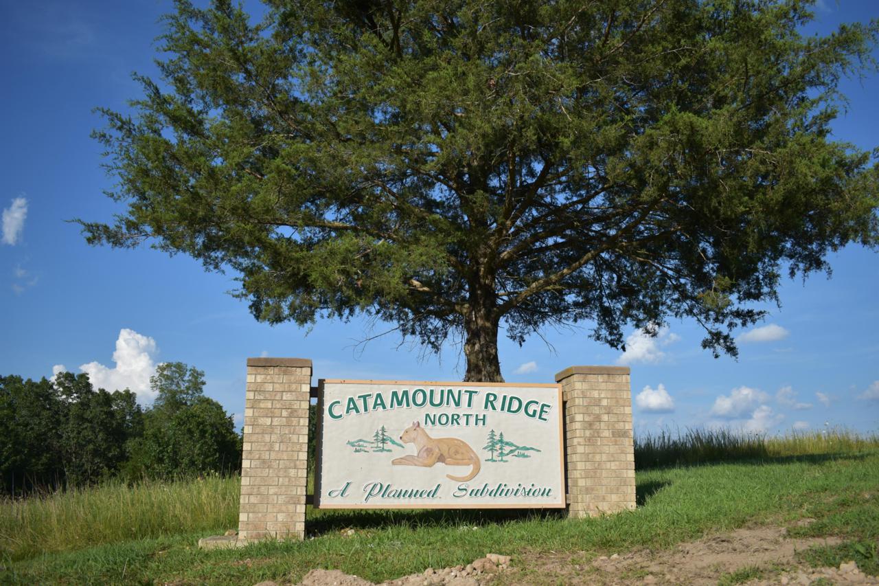Lots 66A & B Catamount Ridge North - Photo 1