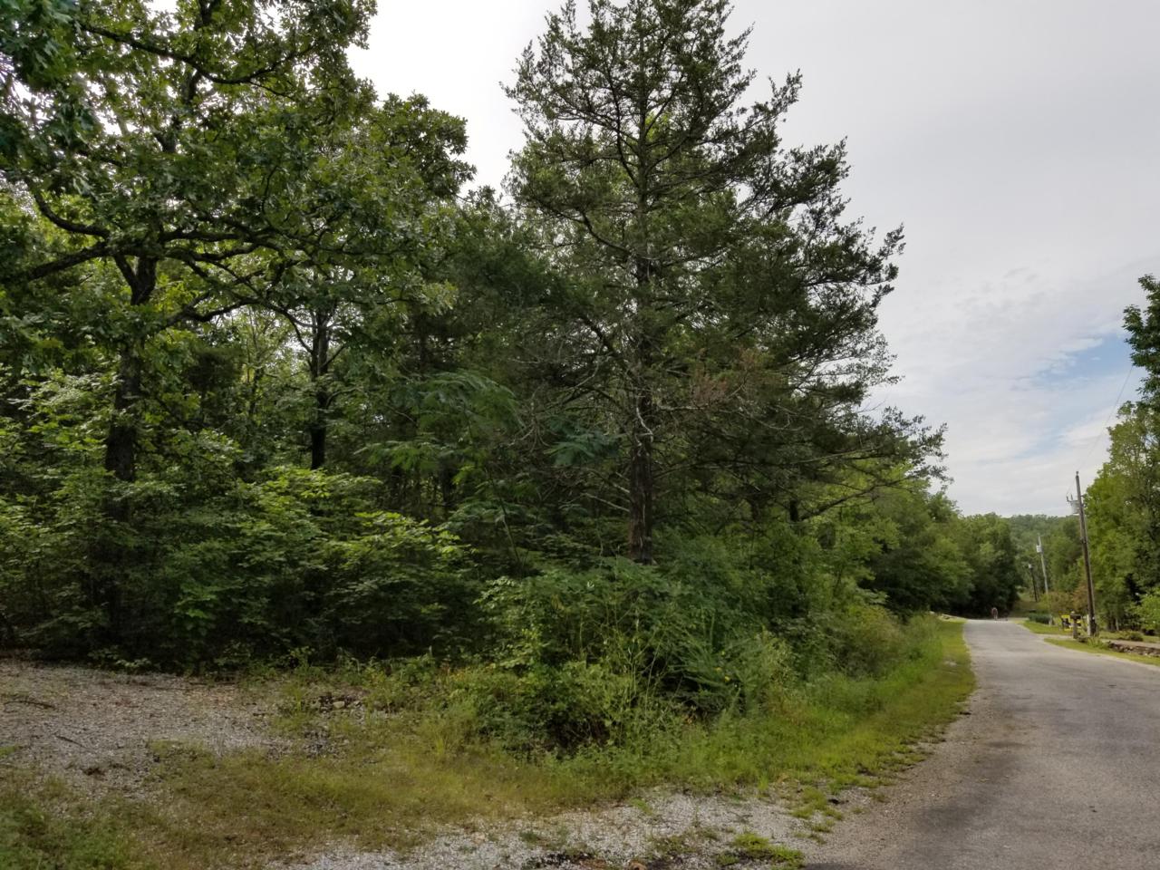 Tbd Beardsley Creek Road Lots 8 &9 - Photo 1