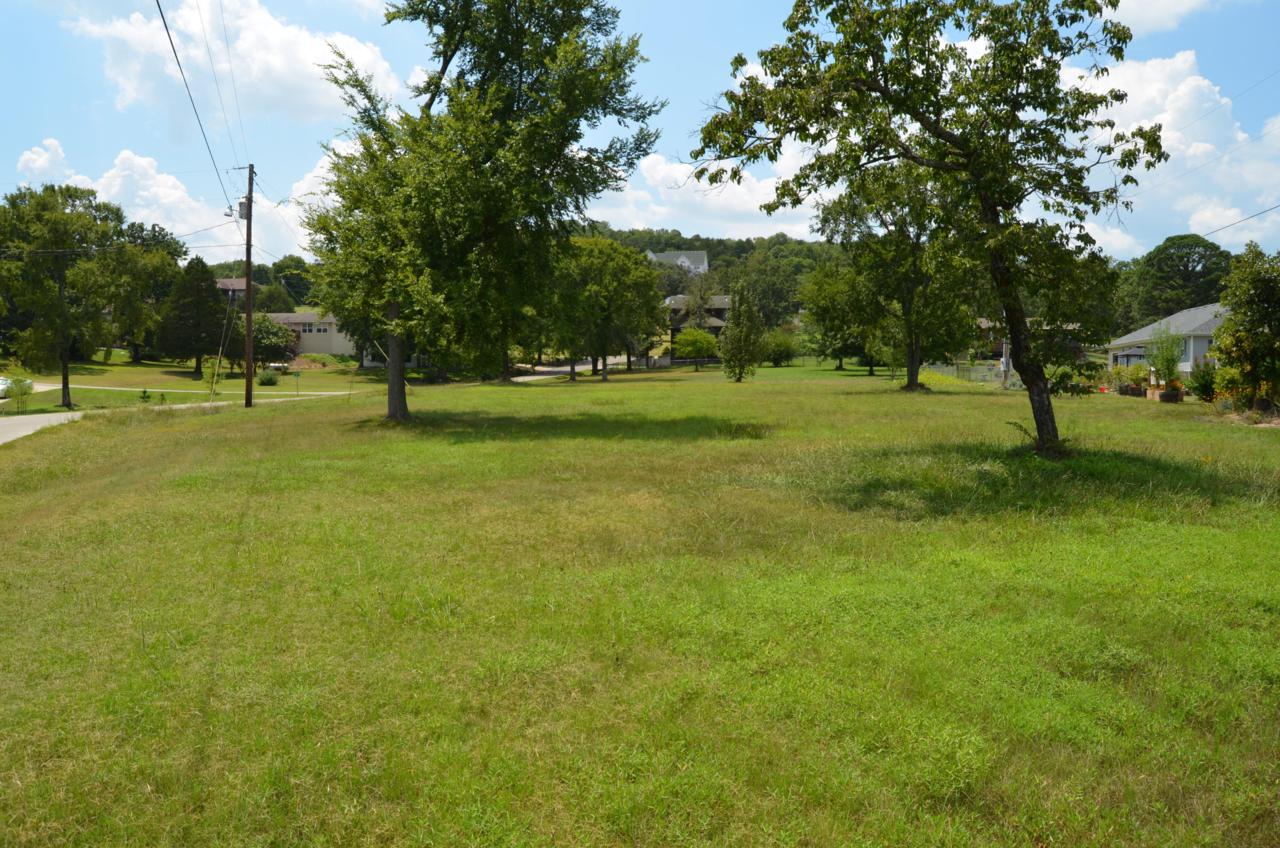 Lot 9 Birch Street - Photo 1