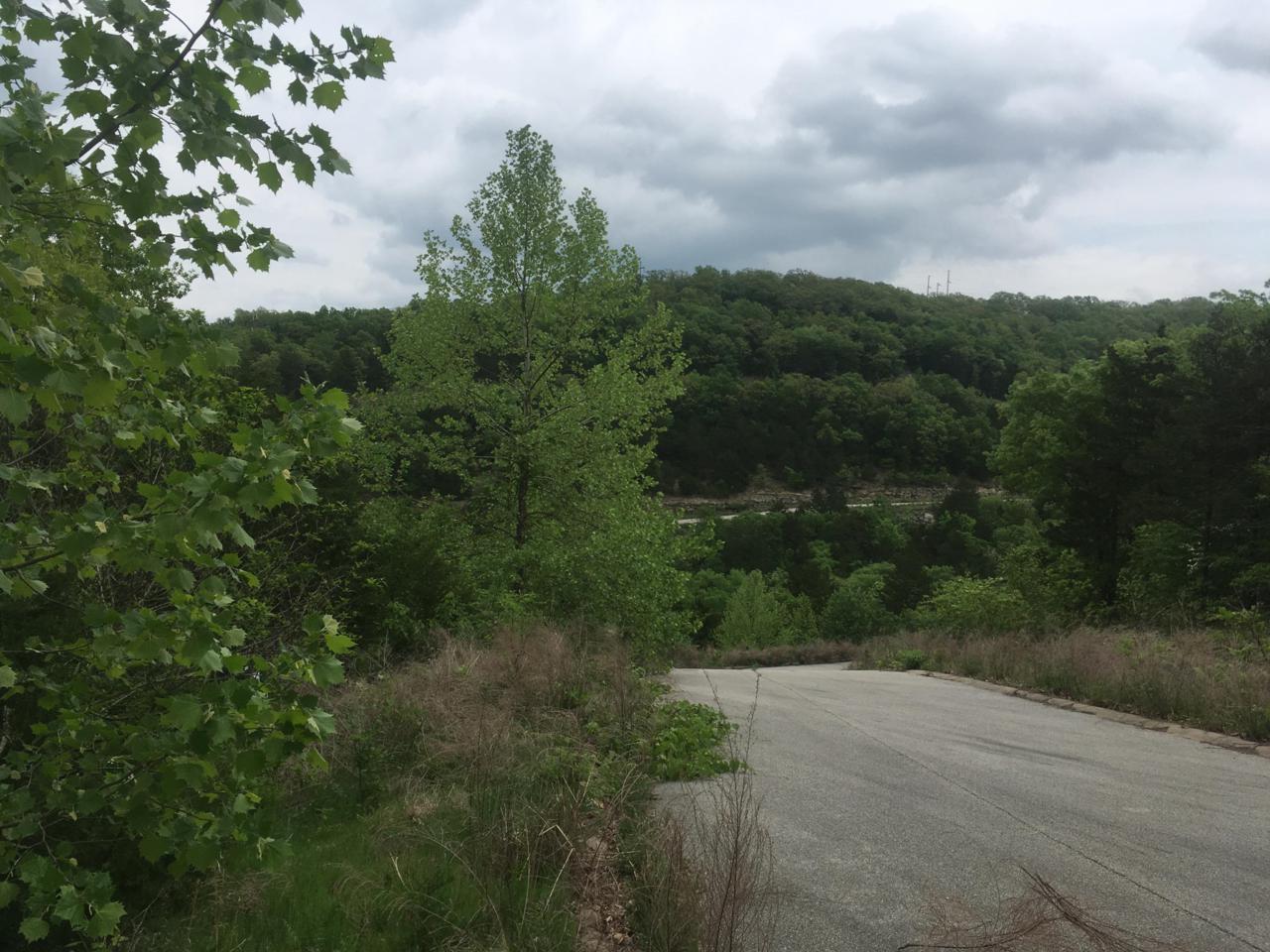 Tbd Ph8 Lot 225 Syler Circle - Photo 1