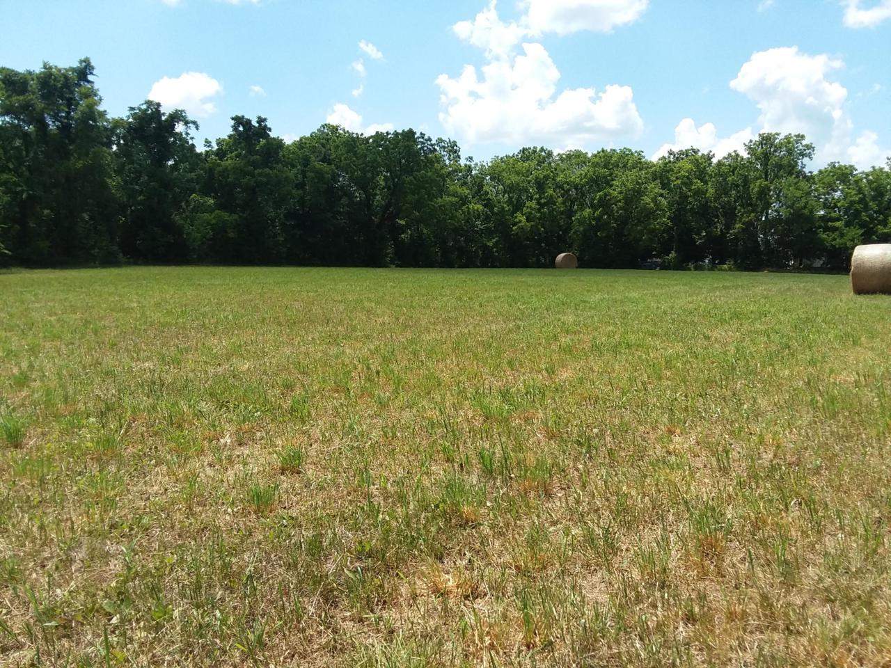 Tract 2&3 Schlessman Road - Photo 1