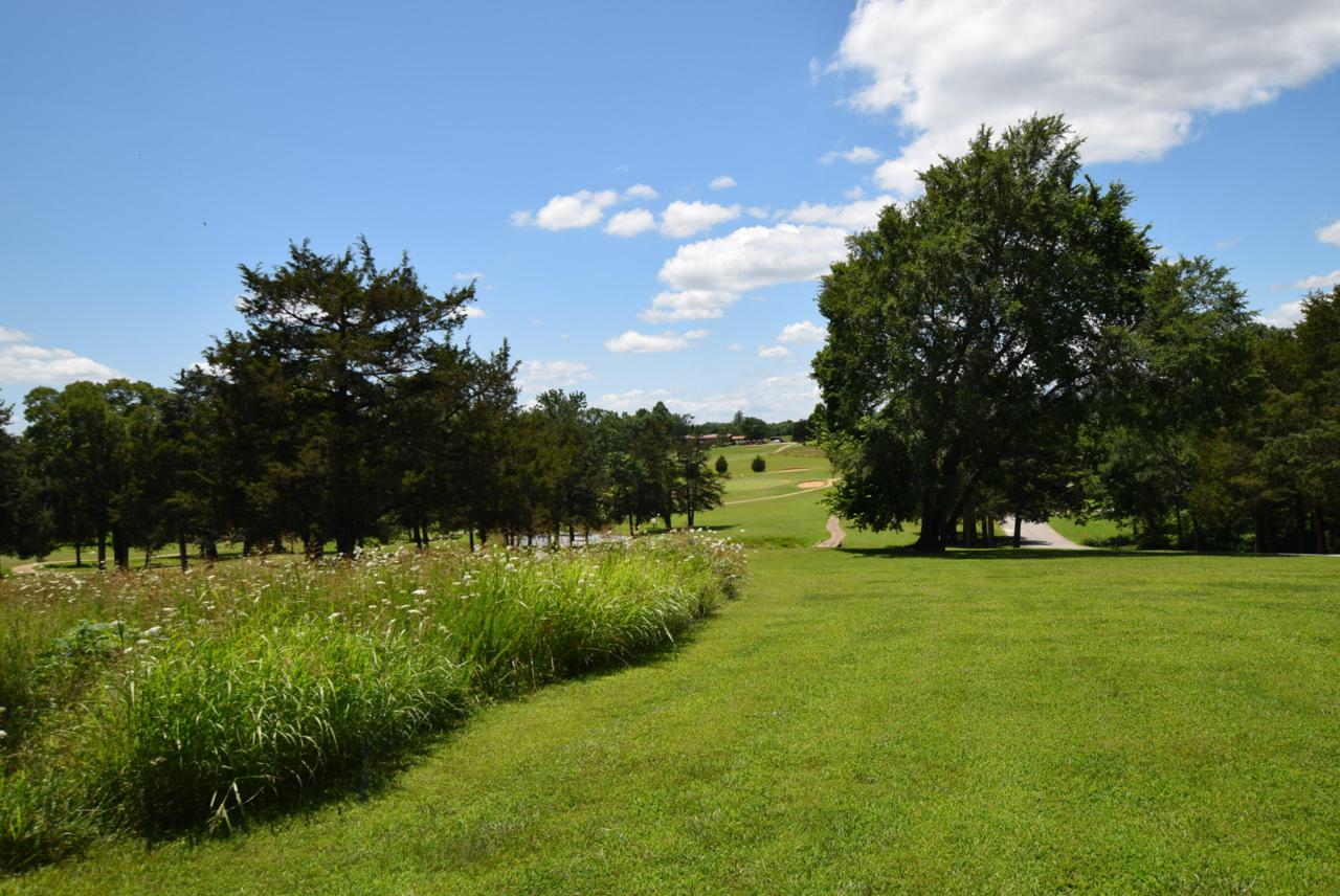 #2 5 Iron Road - Photo 1