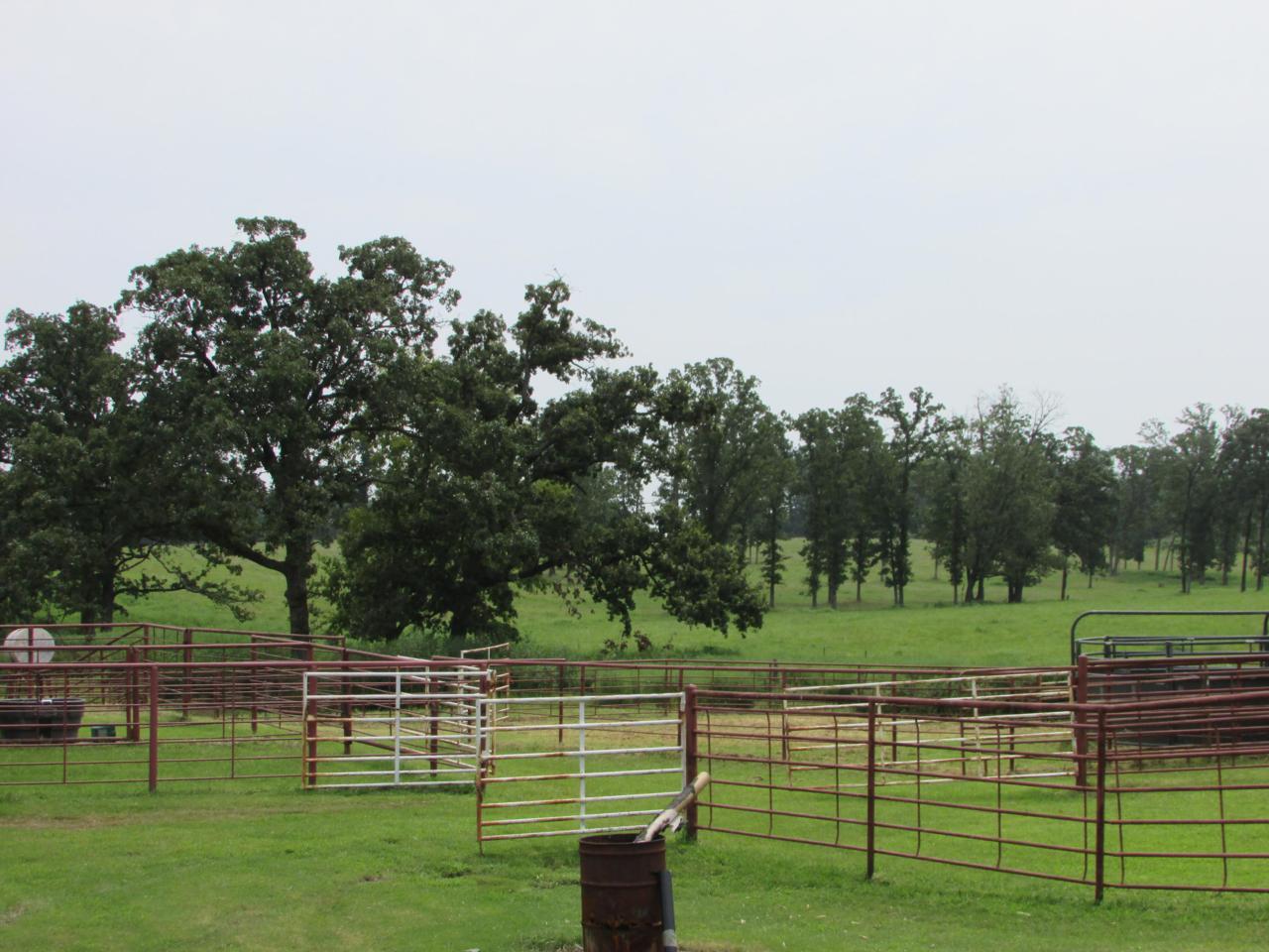 5364 County Road 30 - Photo 1