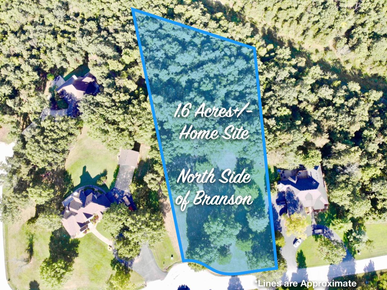Lot 13 Meadow Lane - Photo 1