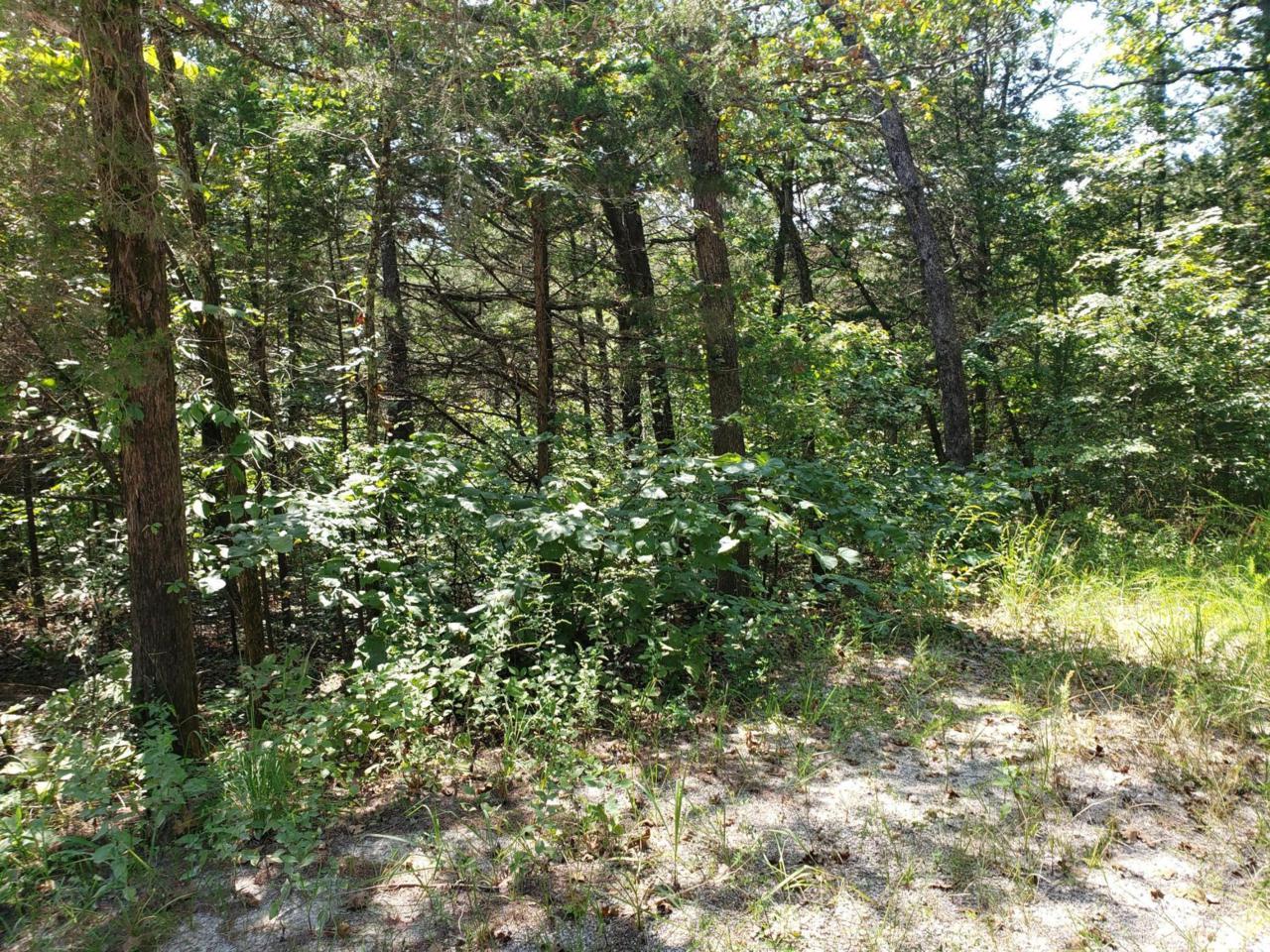 4 Daisy Lane - Photo 1