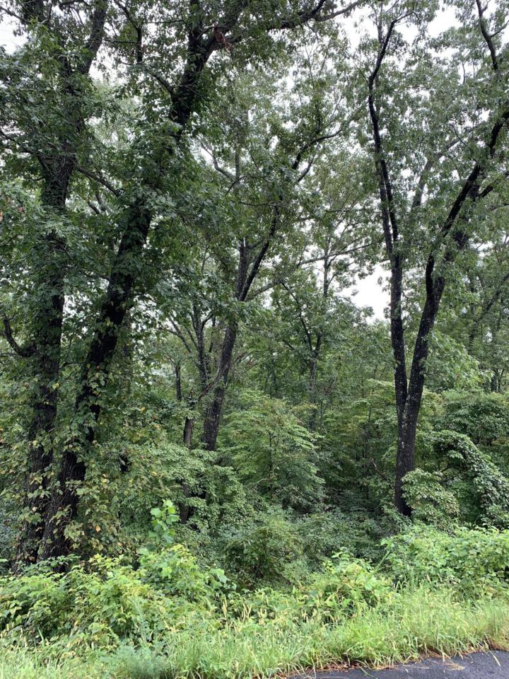 Tbd Sherwood Lane - Photo 1
