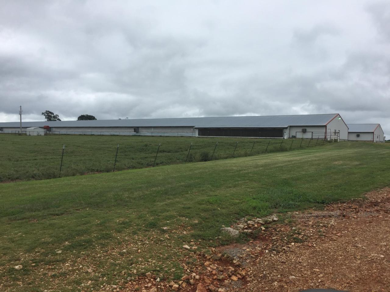 15781 Farm Road 1085 - Photo 1