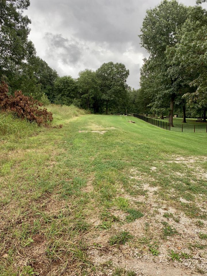 8.91 Acres Farm Rd 159 - Photo 1