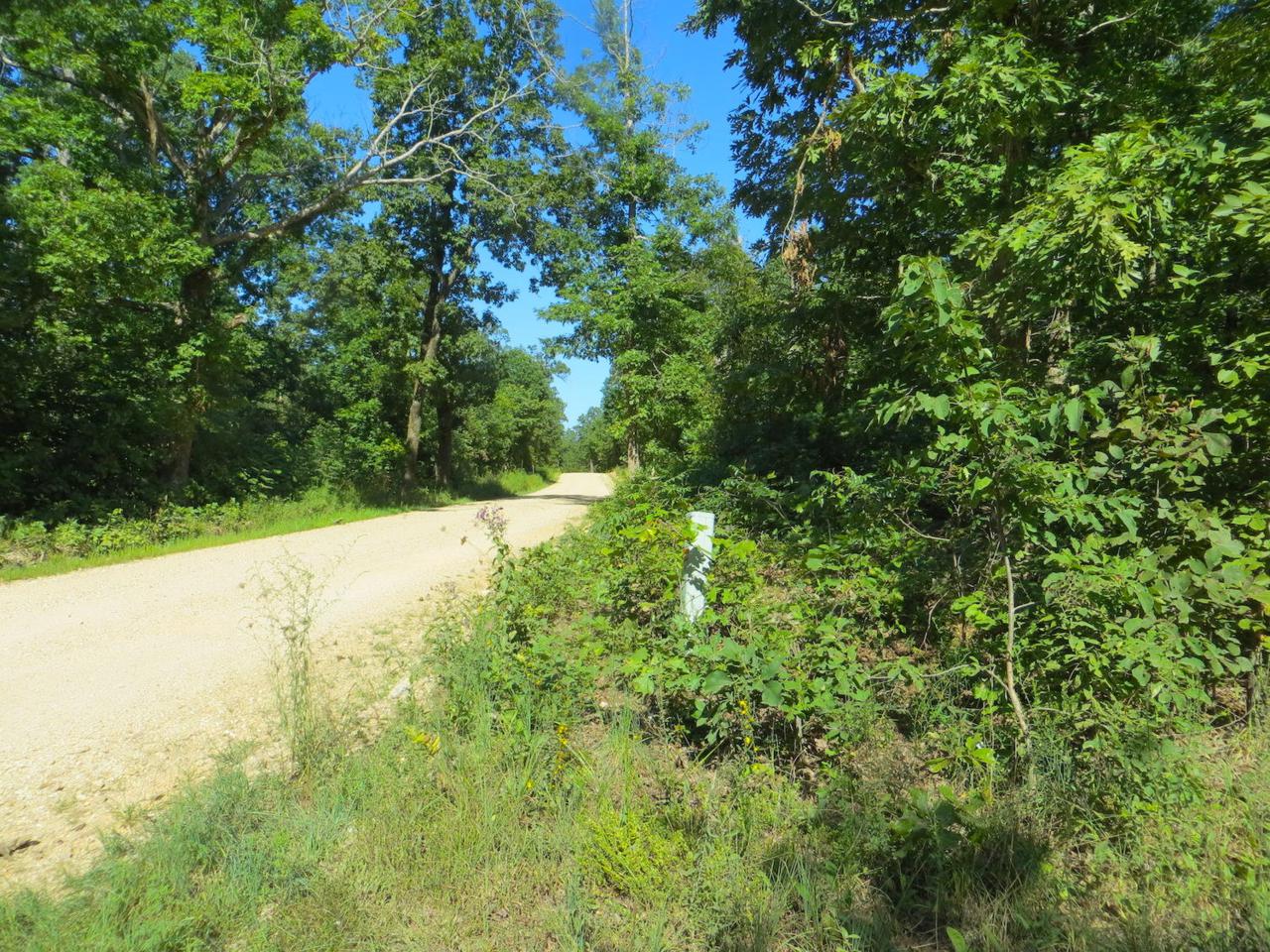 Tbd Walnut Grove Circle - Photo 1 Tbd Walnut Grove Circle - Photo 1