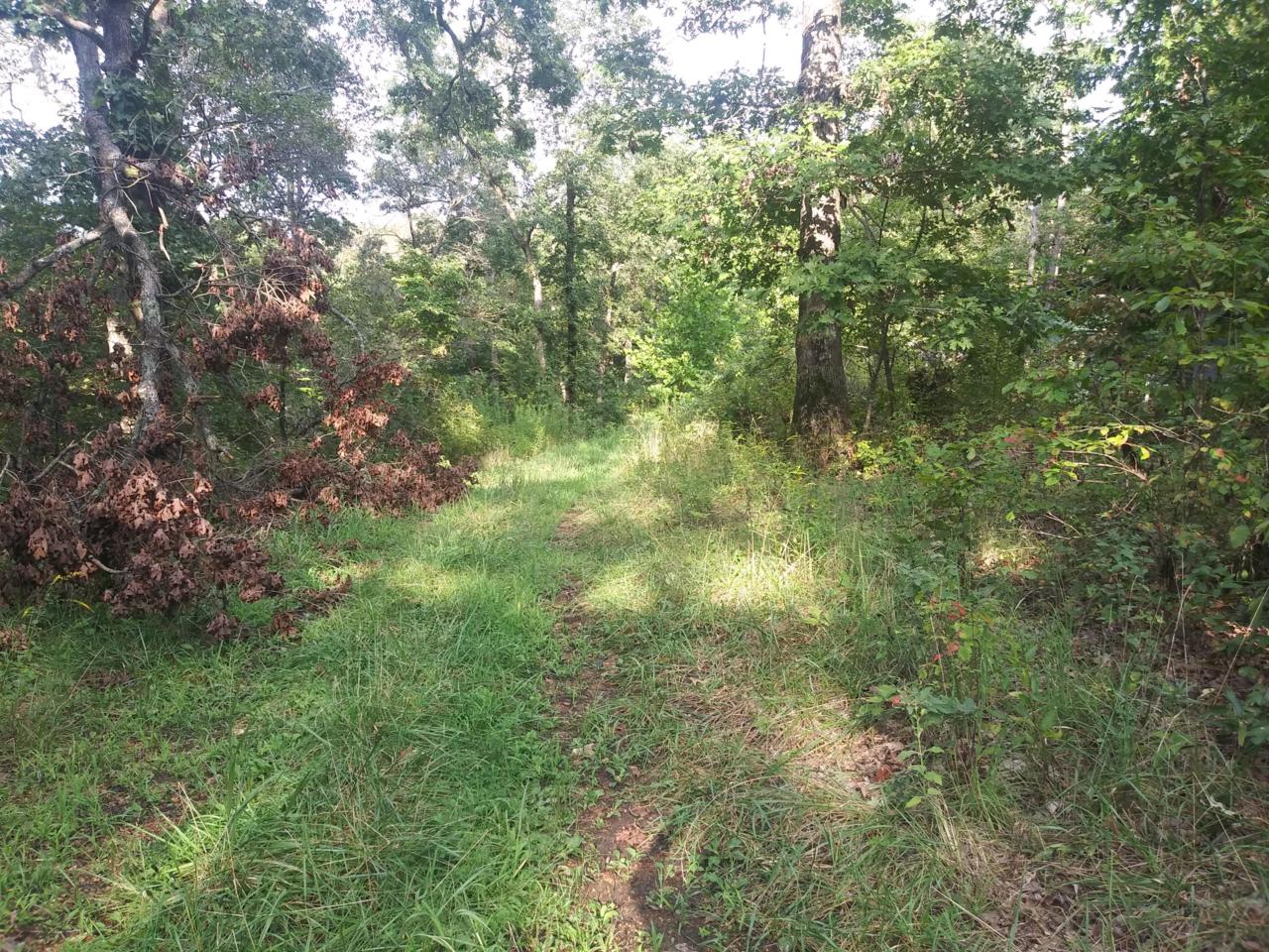 144 Clement Road - Photo 1