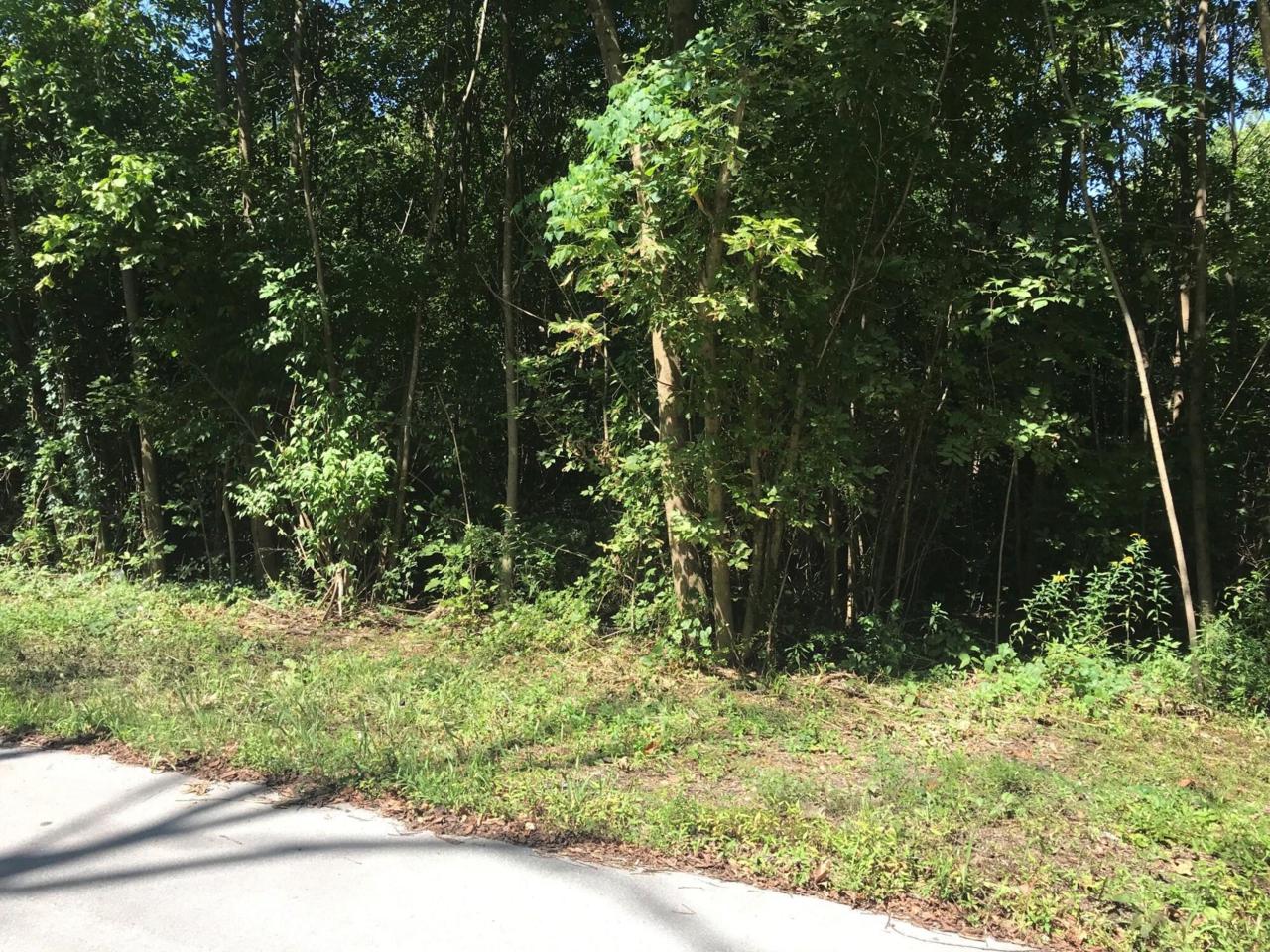Lot 6/9 Troy St - Photo 1