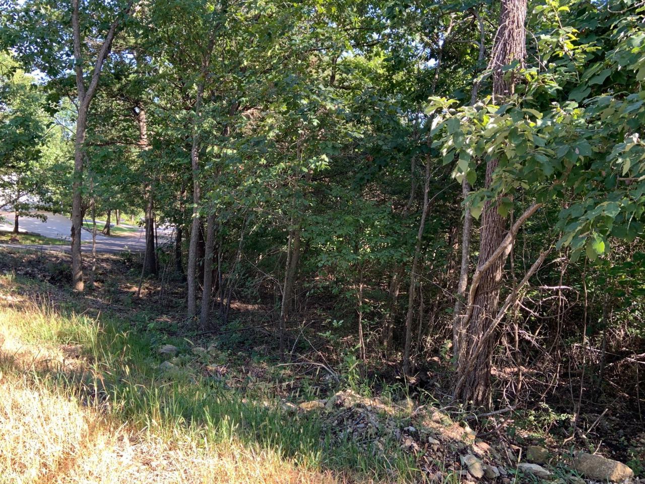 Lot 15 Wilderness Trail - Photo 1