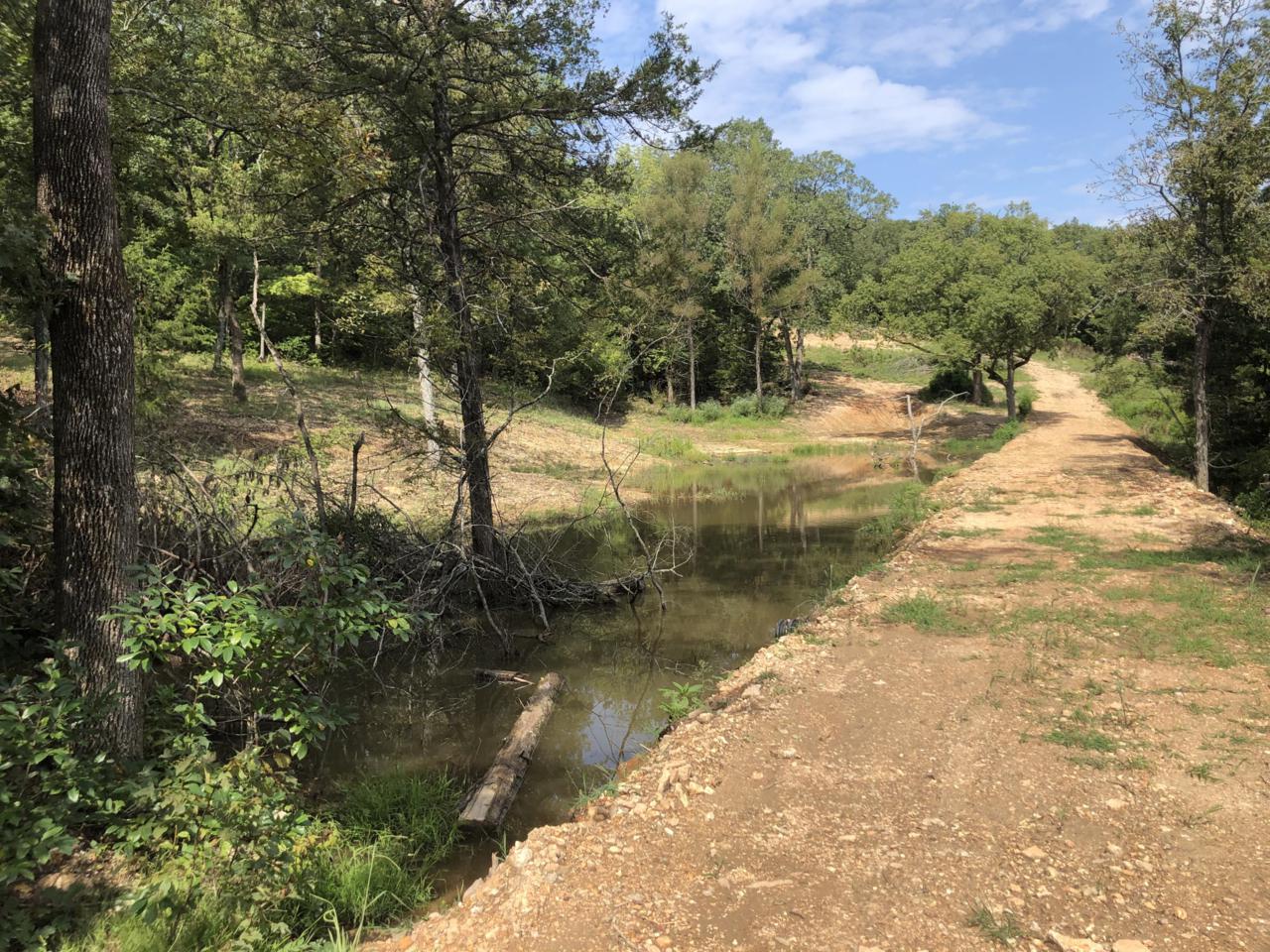 Tbd Lonesome Dove Lane - Photo 1