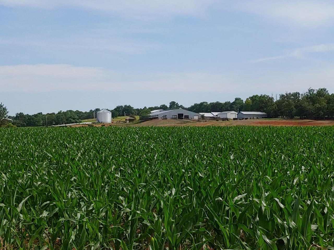 Tract 3-State Highway Kk - Photo 1
