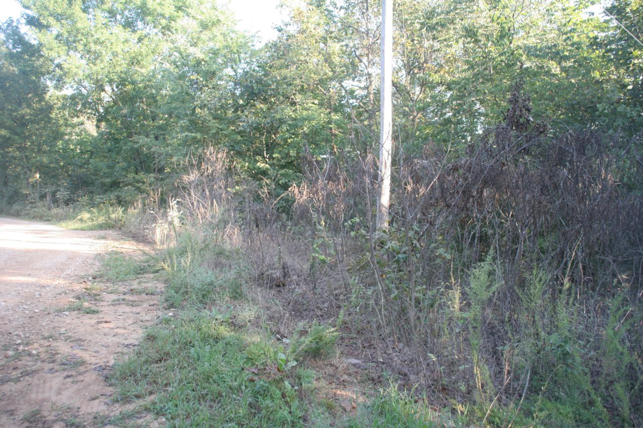 251 Honey Acres Ln - Photo 1