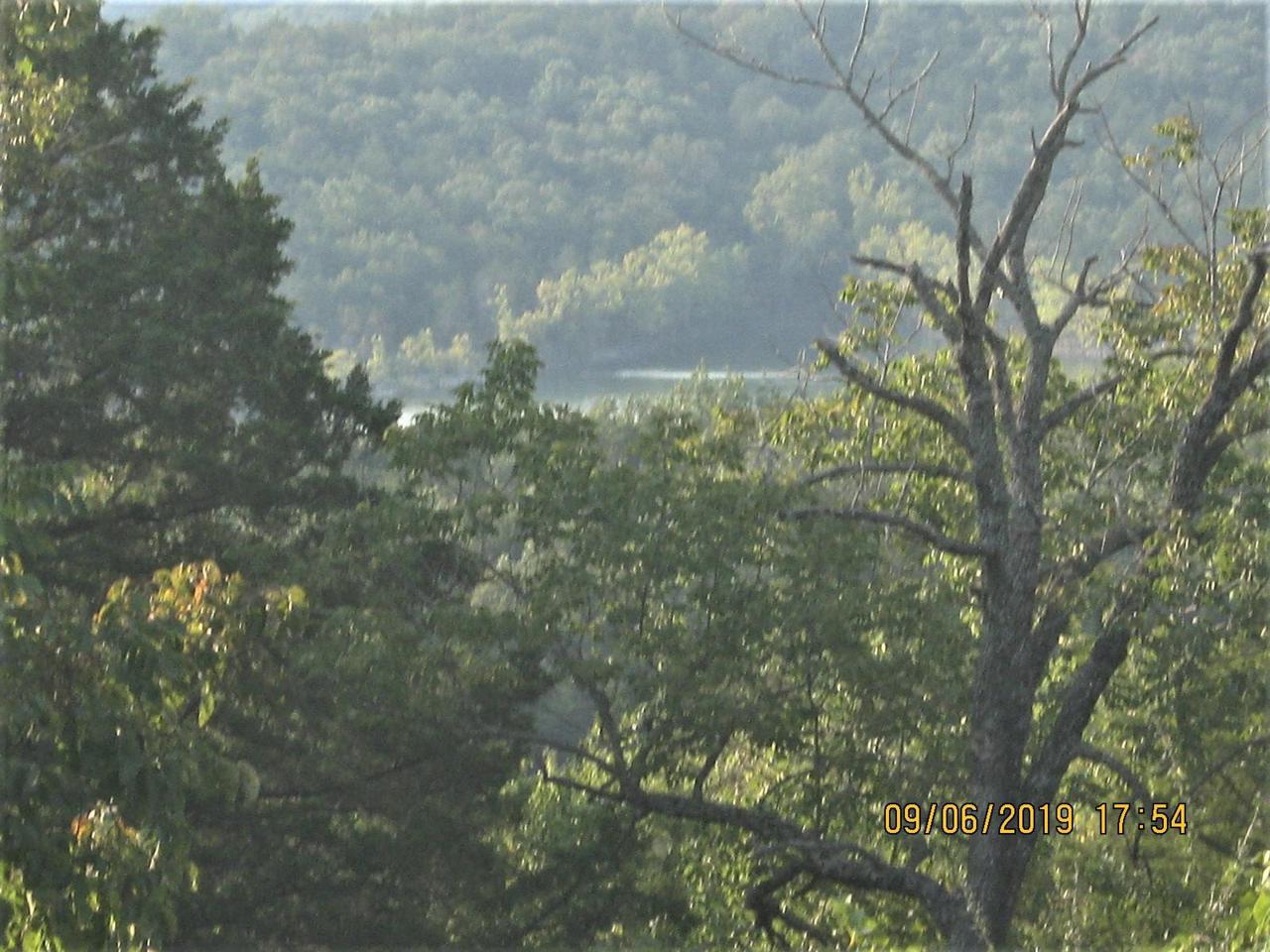 41 And 42 Cow Creek Road - Photo 1