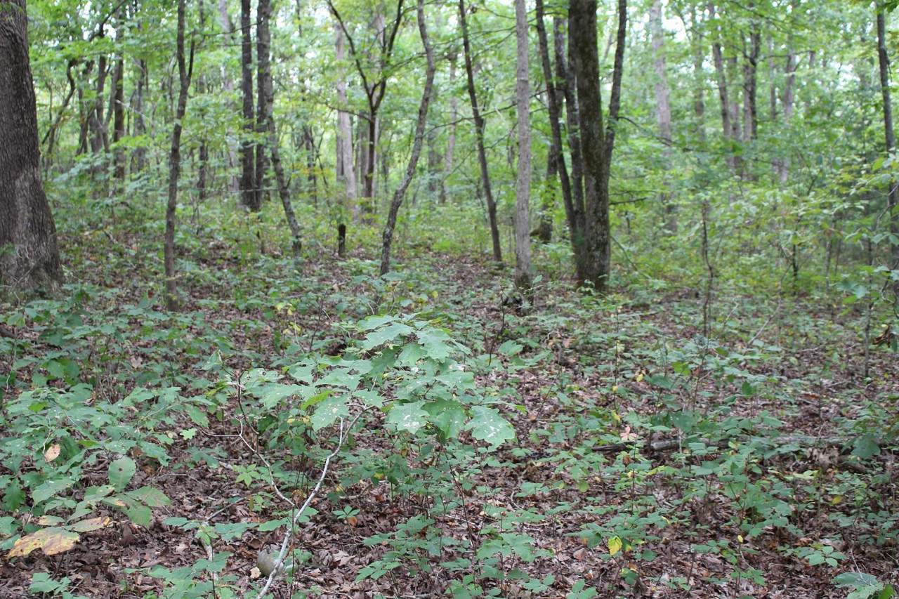 Tbd Oak Ridge Drive - Photo 1