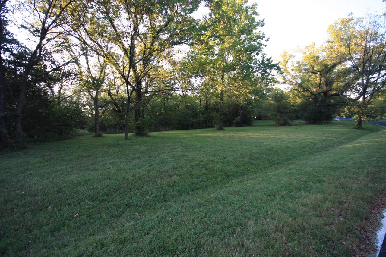 Tbd High Meadow Drive - Photo 1