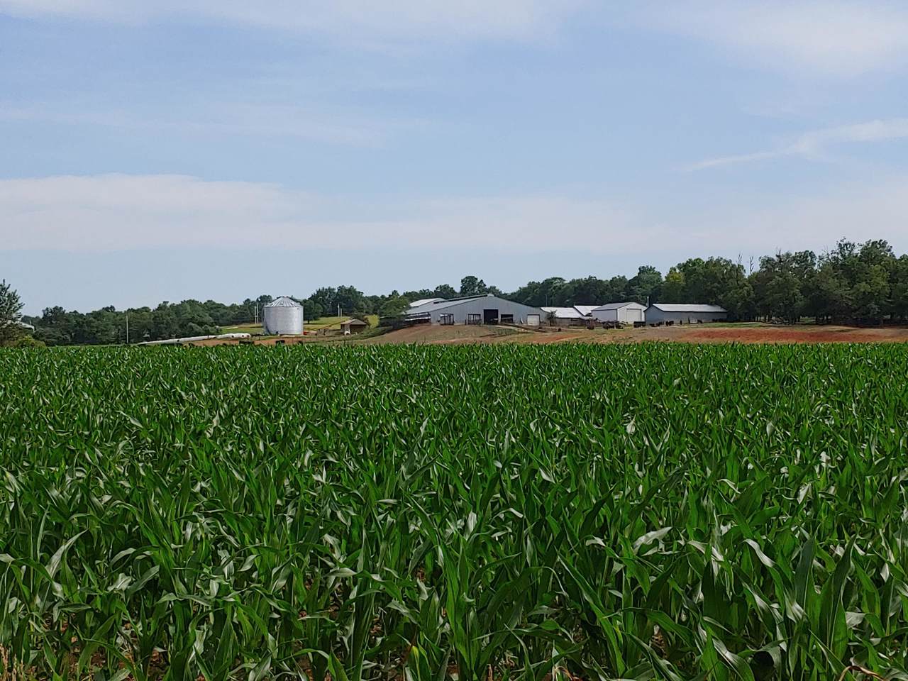 Tract 3-State Highway Kk - Photo 1
